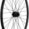 Delux 12 + Open Pro UST Disc + Sapim Race 28" Wheel