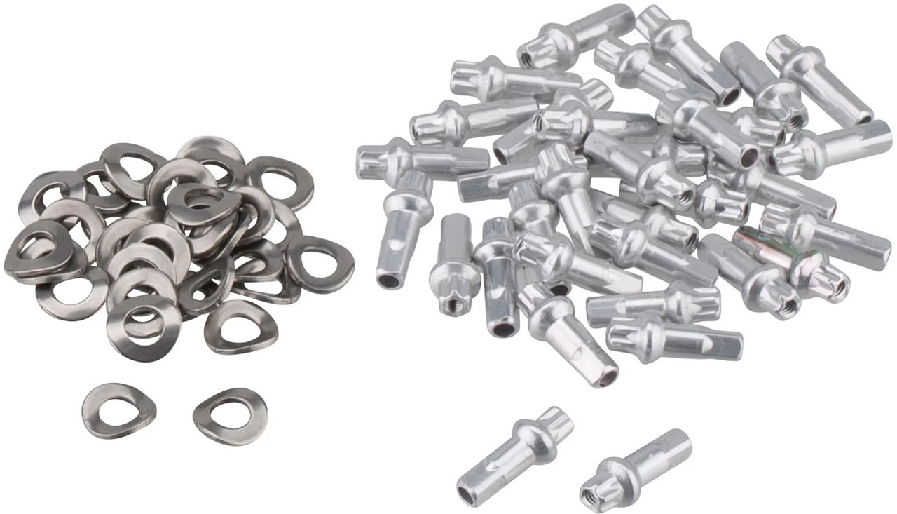 Dt-swiss HX 531 Disc 29" Rim 7 Dt-swiss HX 531 Disc 29" Rim - Image 5