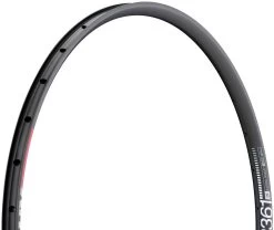 Dt-swiss XR 361 Disc 29" Rim