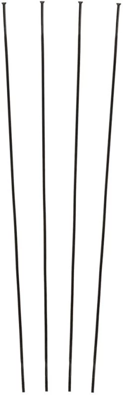 Campagnolo® Zonda C17 Spare Spokes As Of 2016 Models