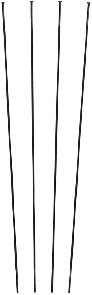 Campagnolo® Zonda C17 Spare Spokes As Of 2016 Models 3 Campagnolo® Zonda C17 Spare Spokes As Of 2016 Models