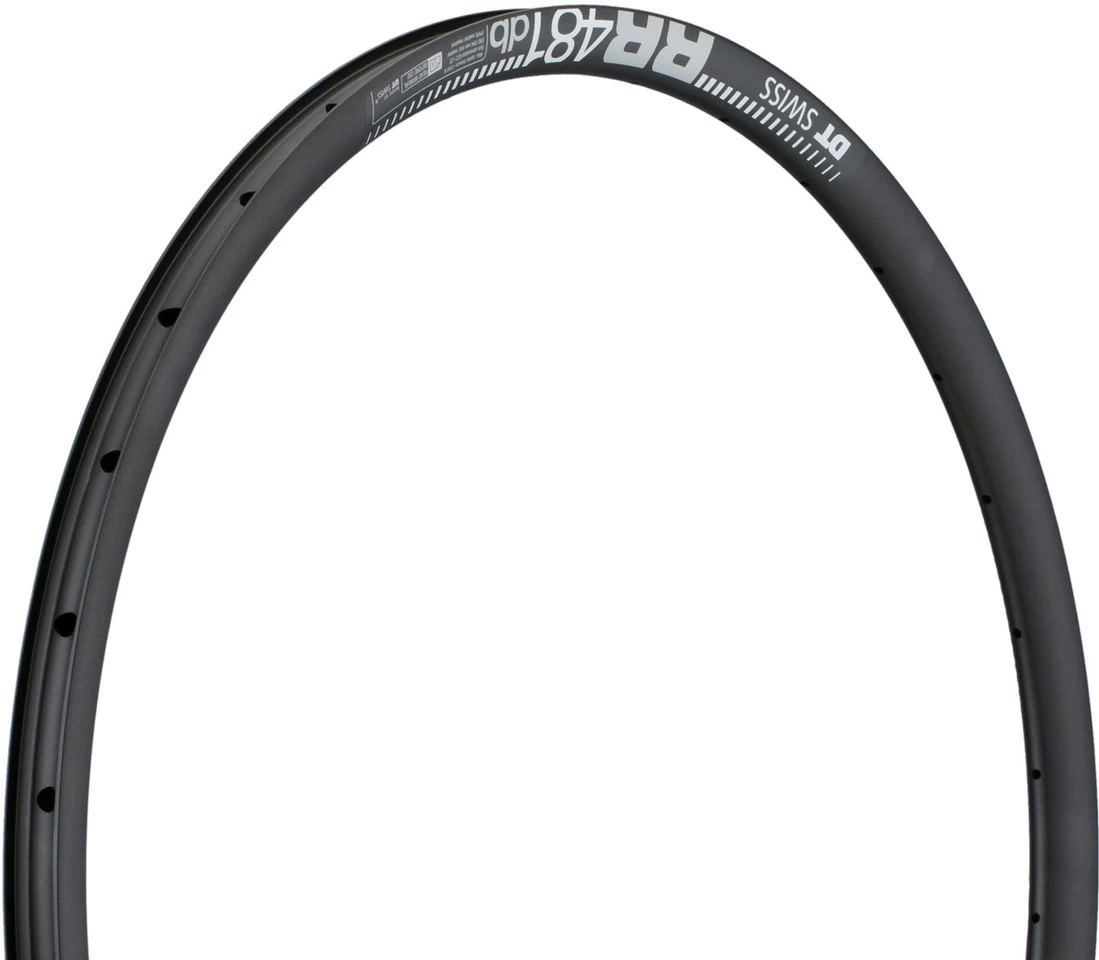 Dt-swiss RR 481 Disc 29" Rim 3 Dt-swiss RR 481 Disc 29" Rim