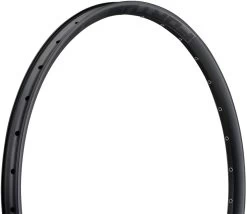 HOPE Fortus 30 Disc 29" Rim