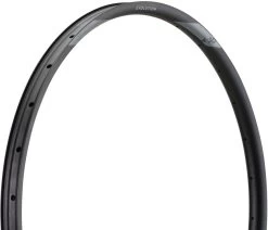 Newmen Evolution SL A.30 Disc 29" Rim