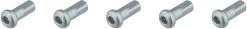 Dt-swiss Pro Lock® Hidden Aluminium 2.0 Mm Nipples - 5 Pcs.