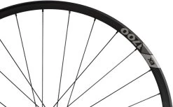 Dt-swiss EX 1700 SPLINE 30 Boost 6-Bolt Disc 29" Wheelset -Bike Sale Shop 356231