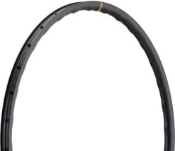 Mavic A 1022 Disc 28" Rim